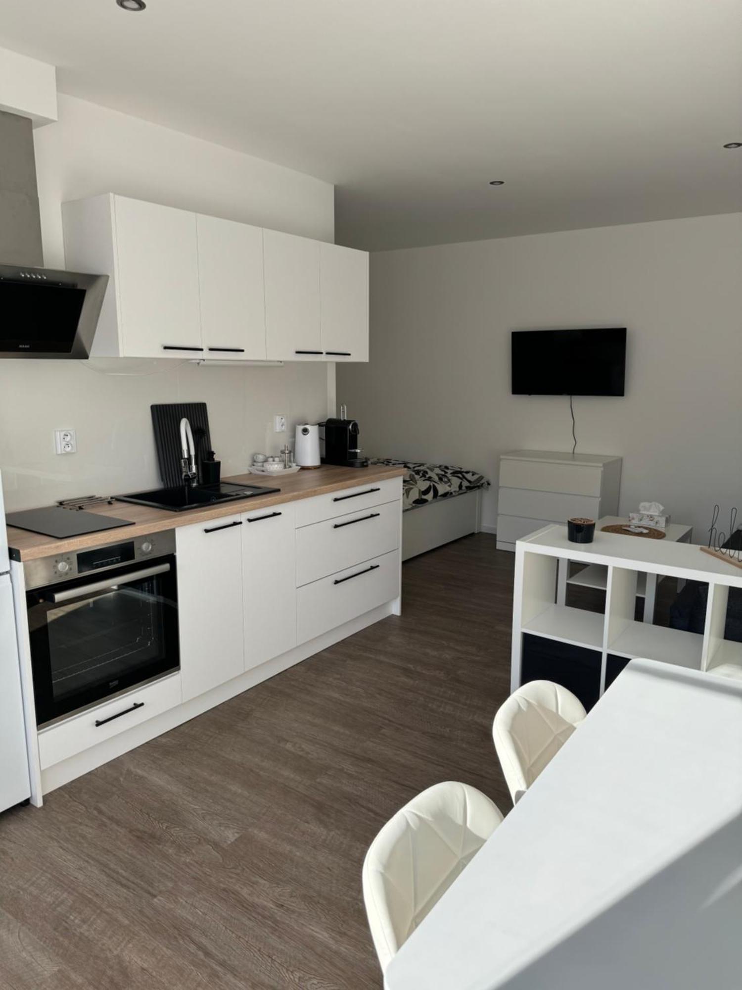 Rk Apartment Brno Dış mekan fotoğraf