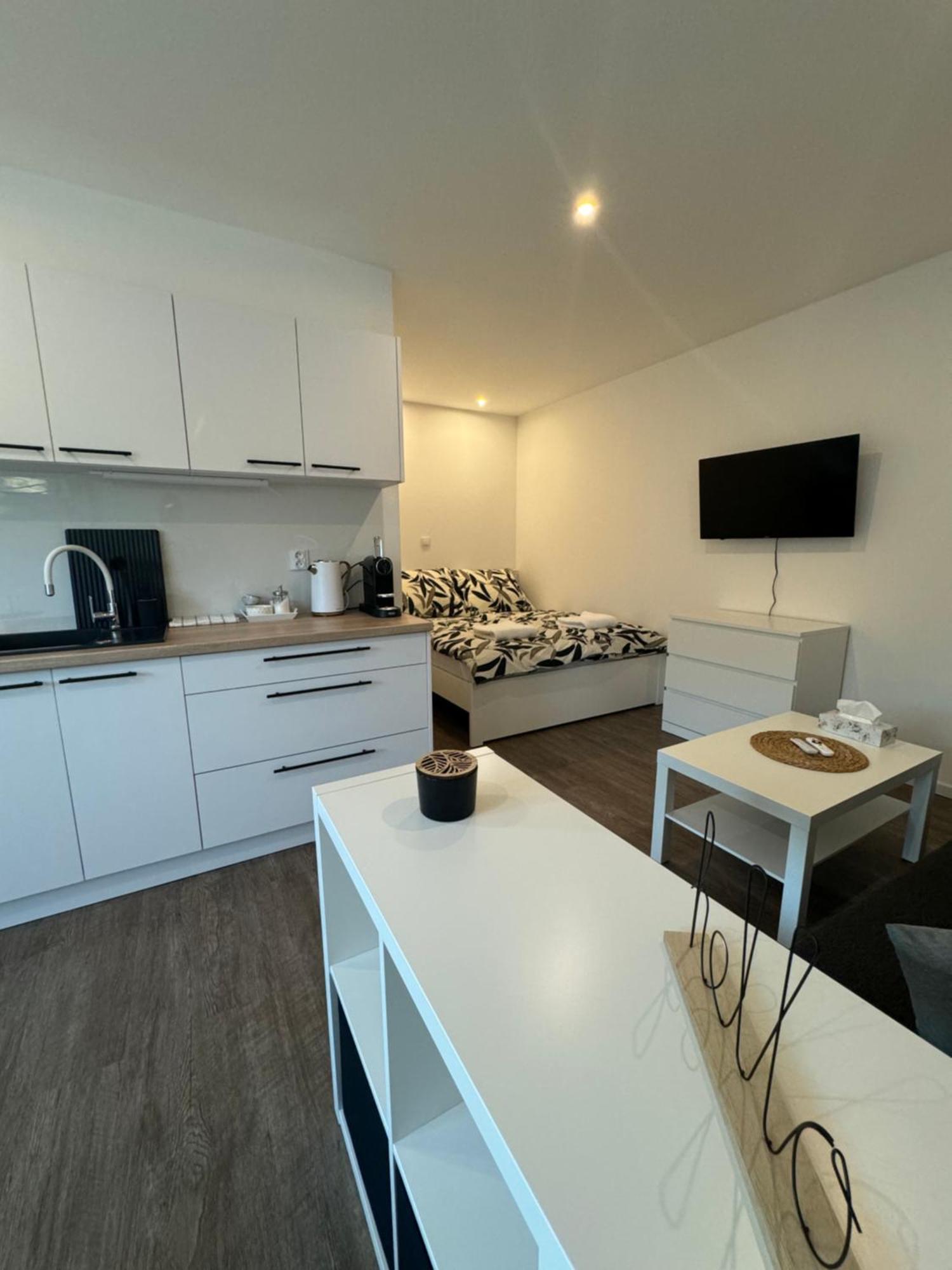 Rk Apartment Brno Dış mekan fotoğraf